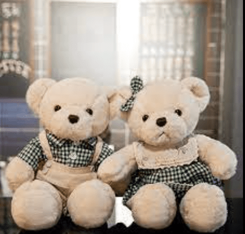 Gấu Bông Teddy Cặp Đôi - Ảnh 3