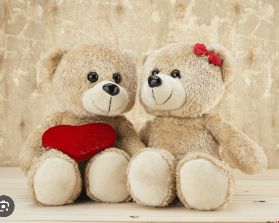 Gấu Bông Teddy Cặp Đôi - Ảnh 4